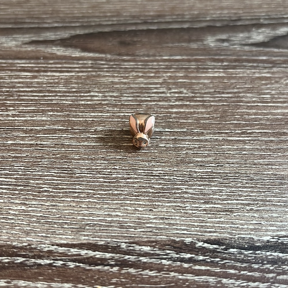 Pandora bunny charm!!